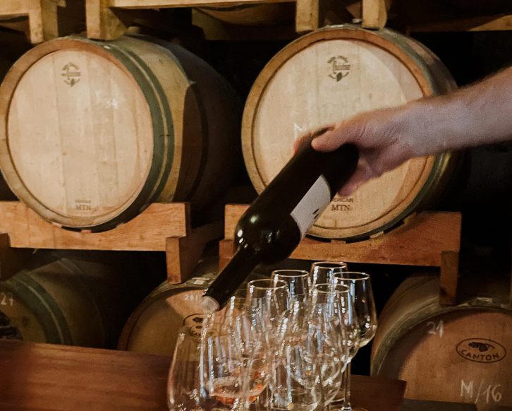 Criação de marcas no setor de gastronomia premium — vinícola
